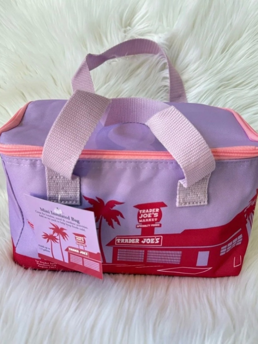 Trader Joe's Mini Insulated Lunch Bag Purple and Pink
